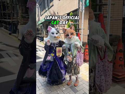 I Spent Japan's Official Cat Day With Cats!