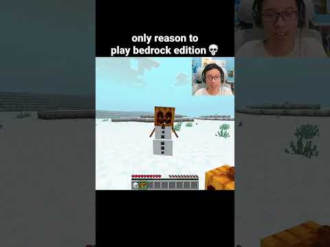 Minecraft Snow Golem Moment