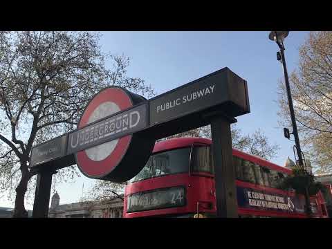 What to See on the Underground