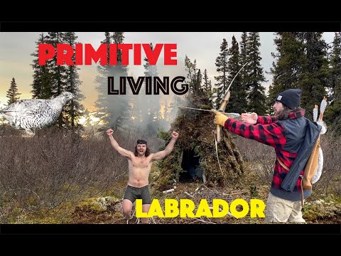 Catch And Cook Survival Labrador | Wild Tea, Smoking Fish And Primitive Hunting Ep-2