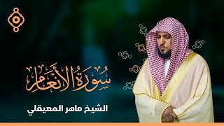 سورة الأنعام   - الشيخ ماهر المعيقلي