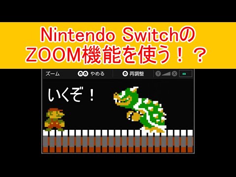 一寸先は闇マリオ#6 Nintendo SwitchのZOOM機能を使う！？ / ZOOM MARIO