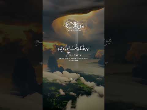 Surah Al Insan #quran #holyquranforall #surahinsan #islamicvideo #ytshorts