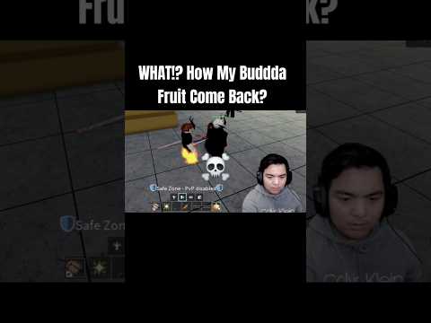 What? How My Buddha Fruit Come Back to me? + this hacker pick it but..!? ☠️ #bloxfruits #roblox