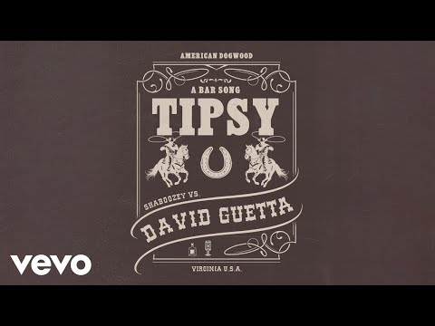 Shaboozey, David Guetta - A Bar Song (Tipsy) [Remix] (Official Visualizer)