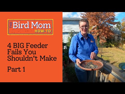 4 BIG Feeder Fails You Shouldn't Make Part 1