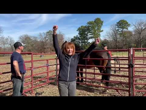 Travelled to the USA to help Stefanie Powers with a troubled horse! Full video coming soon!