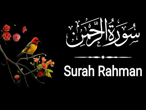 World's most beautiful recitation of Surah Ar-Rahman Episode 774 | Bazm e Quran