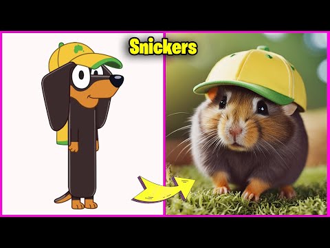 Bluey Characters As Hamster 🐹 + Guess The Voice & Song Quiz | Bluey, Coco, Snickers