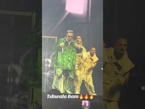 Chris Brown on Tshwala Bam Challenge