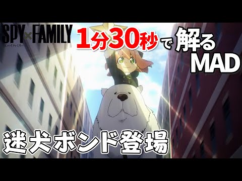 【SPY×FAMILY_2期】SOUVENIRで迷犬ボントの登場を観る【MAD】