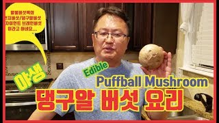 Puffball Mushroom/Edible Mushroom/댕구알 버섯/전원생활/농장생활/비즈니스/일상생활/자연인처럼 생생한 일상의 삶을 소개합니다.