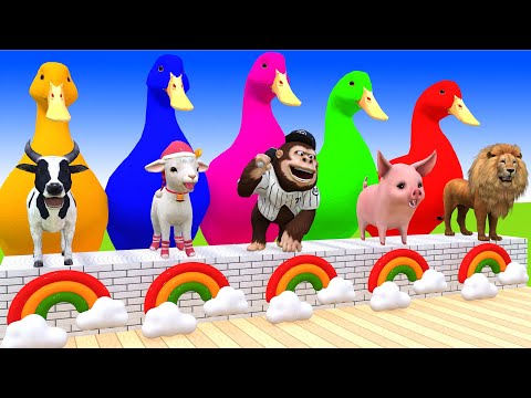 5 Giant Duck Cartoon,Cow,Mammoth,Dog,T-Rex,Lion,Tiger Paint Wild Animals Crossing Fountain Animation