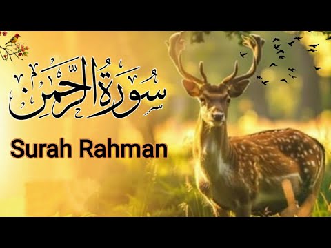 World's most beautiful recitation of Surah Ar-Rahman Episode 677 | Bazm e Quran