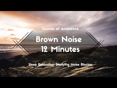 12 Minutes of Bliss: The Ultimate Brown Noise Mix for Relaxation, Sleep, and Studying