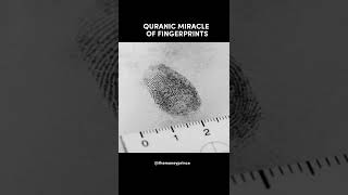 Quranic Miracle Of Fingerprints #miracleofquran #quranicwisdom #muslimtiktoks