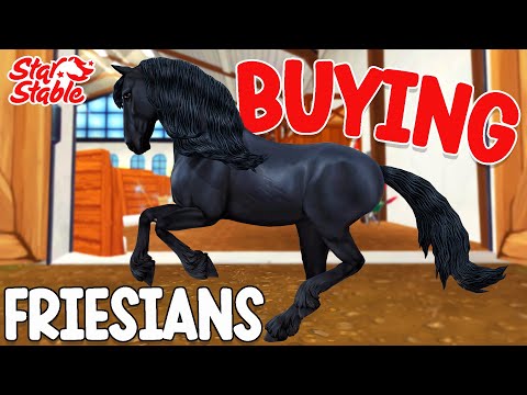 BUYING NEW *FRIESIANS* IN STAR STABLE & TRAILBLAZER BATTLE PASS TRACK!!