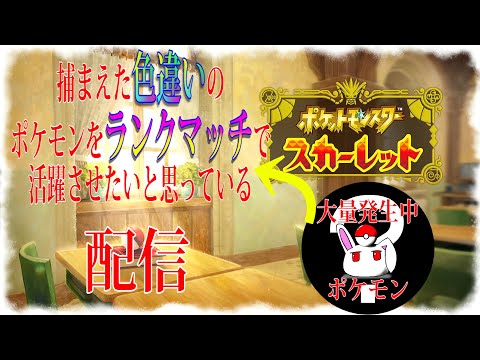 【ライブ】年明け一発目！！厳選＆ランクマぁ！！【ポケモンスカーレット】