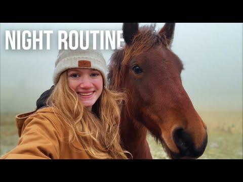 Winter Farm Animal Chores, and Night Routine ❄️