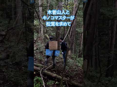 令和の虎の井口社長とキノコマスターが熊が出没する木曽駒へ松茸狩りに行ってしまう