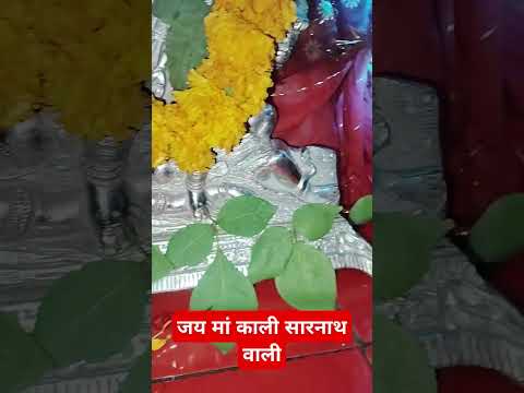 ॐ जयंती मंगला काली भद्रकाली कपालिनी।दुर्गा क्षमा शिवा धात्री स्वाहा स्वधा नमोस्तु ते।।