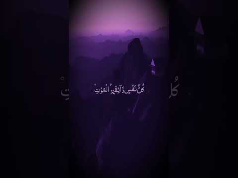 Beautiful recitation of Quran ♥️♥️| midnight vibes of Quran ♥️| #abdulrahmanmossad #qirat #soothing