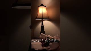 تلاوة طيبه بصوت القارئ : محمد هشام حسن 🌱#quran