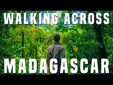 INTO THE JUNGLE: Walking Across Madagascar | EP 2