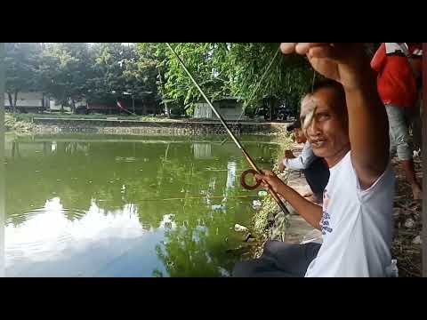 mancing di rungkut sier || mancing liar #fishing #mancingliarsurabaya #mancingliaranterbaru