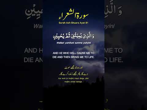 Surah Ash Shurah 78 #holyquranforall #quran #surahashshuara #islamicvideo