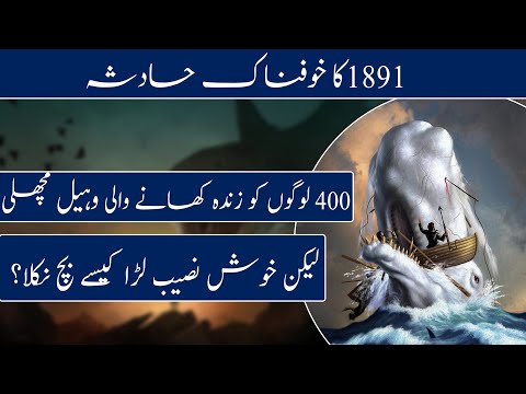 Man who was swallowed by a Whale and survived | An interesting event of 1891 | Janlo | Real Channel