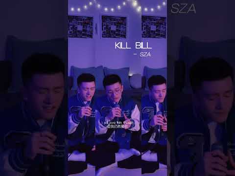 Kill Bill - SZA (Diego Che Cover)