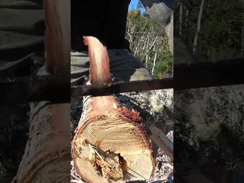 Tiny Log Cabin Prep | Peeling Logs