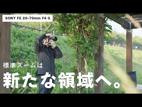 ソニーの【FE 20-70mm F4 G】を買ったので朝活をしたら撮れ高がエグすぎた。