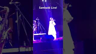 Feel the pulse of the beats as SambaDá Live