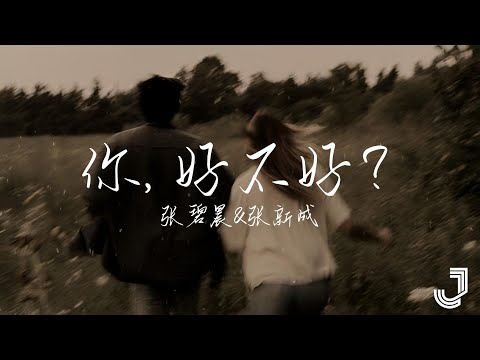 张碧晨 & 张新成 - 你, 好不好? | 我们的歌6 |「能不能继续 对我哭 对我笑对我好」|【动态歌词 Lyrics】