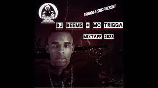 MC Trigga + DJ Deems NEW Mixtape 2023 SDC (Using stems)