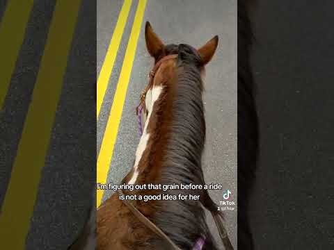 mules are scary!!! riding vlog #1