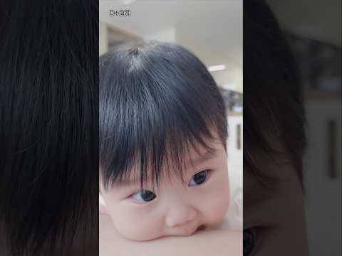 (D+261)뿡뿡뿡#shorts #육아일기 #baby #8개월아기 #도담지안