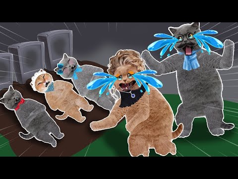 Poor Baby Cat Life :  BABY !!! Don't Leave Me Alone !|| Sad Story Animation  Cat Story Animation