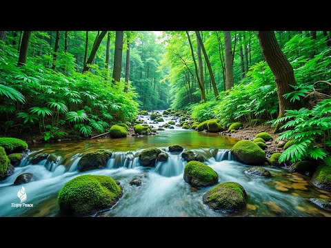 Soothing, relaxing music reduces stress and stops thinking too much #2