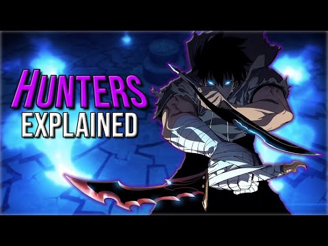 Solo Leveling Hunters Explained | Origins, Ranking System & Job Class