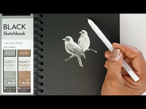 How to draw white birds on black paper with easy steps.