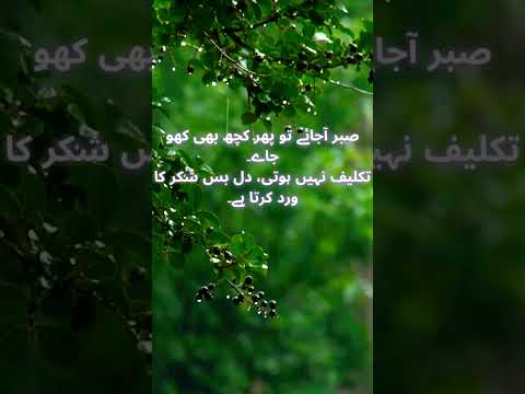 urdu Quotes about life 💫|whatsapp Status