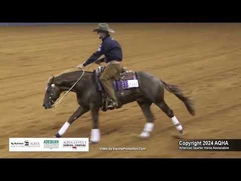 Senior Reining - 2024 AQHA World Championship Show