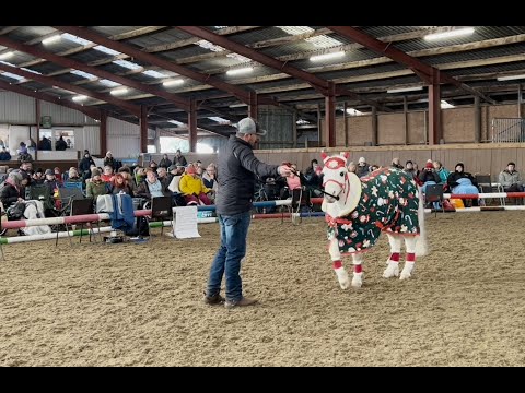 Steve Young Horsemanship demonstration day rundown