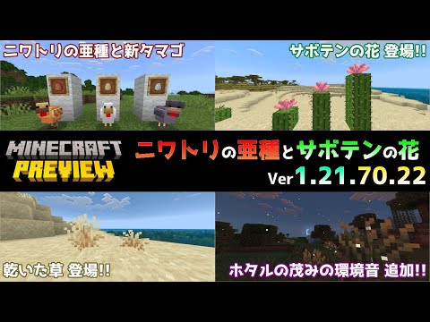 【統合版マイクラ】ニワトリの亜種にサボテンの花追加などの春の小規模アップデートの新要素登場!! 今後のアップデート情報 Beta&Preview版 ver1.21.70.22