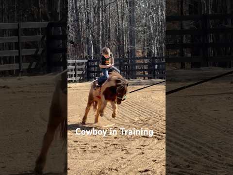 Cowboy in training #cowboy #horse #pony #minipony #cute #funny #rodeo