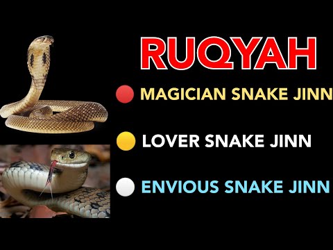 POWERFUL RUQYAH AGAINST SNAKE JINN / МОЩНЫЙ РУКЬЯ ПРОТИВ ЗМЕИ ДЖИННА .