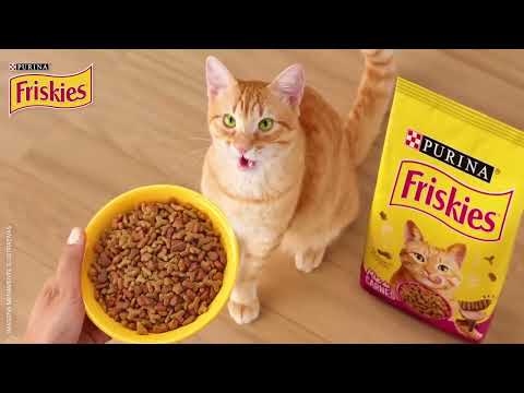 Friskies [Locutora Nannda Alves]